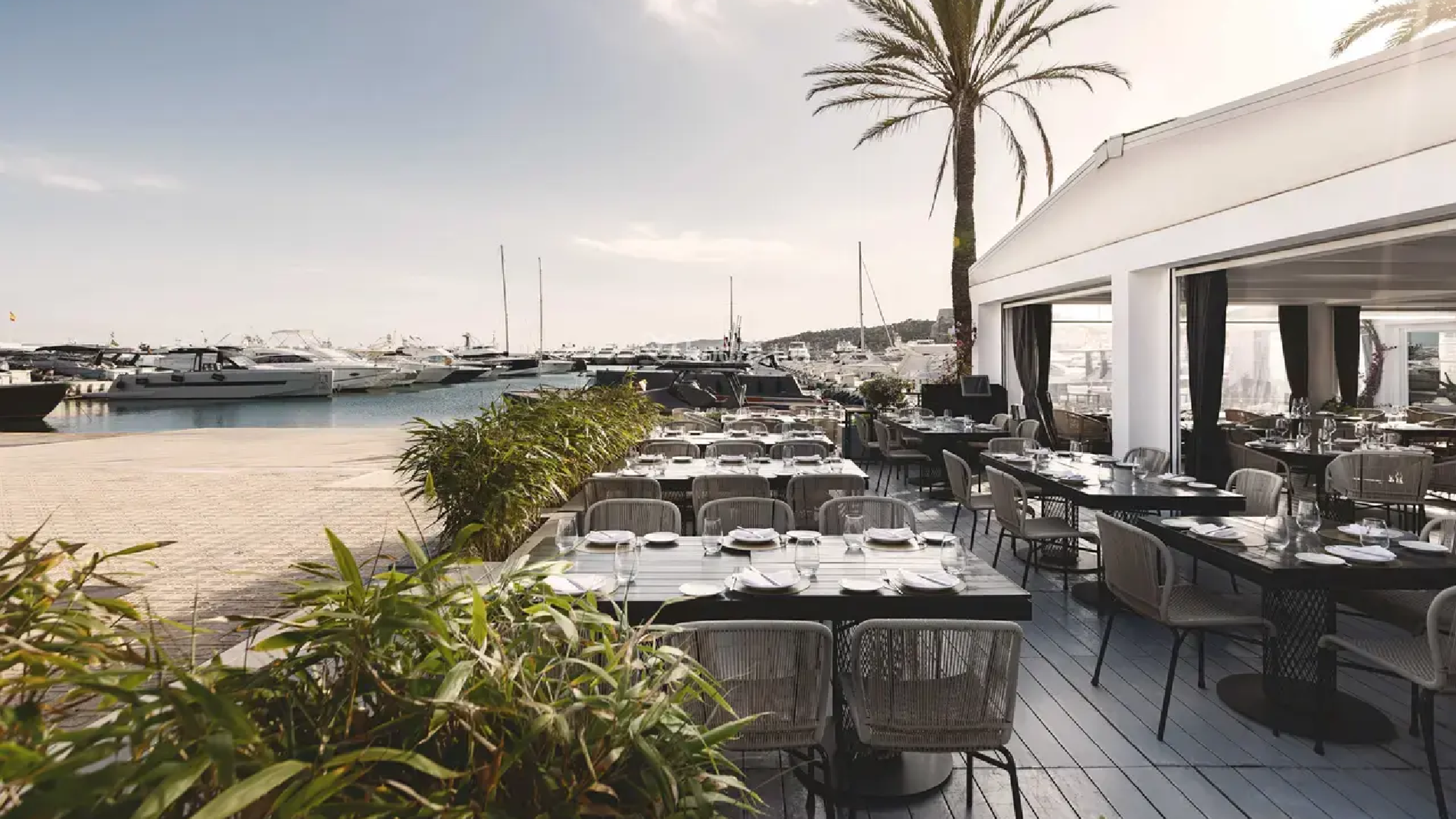 IT IBIZA In Marina Botafoch