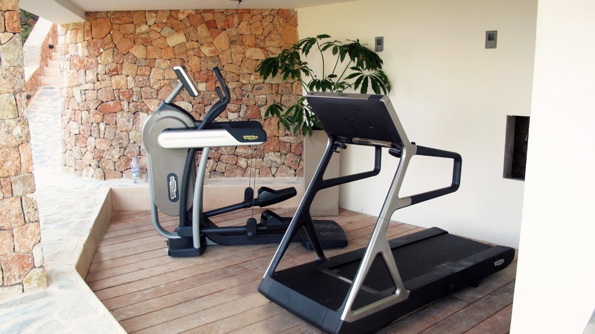 The Wellness and Fitness Trend