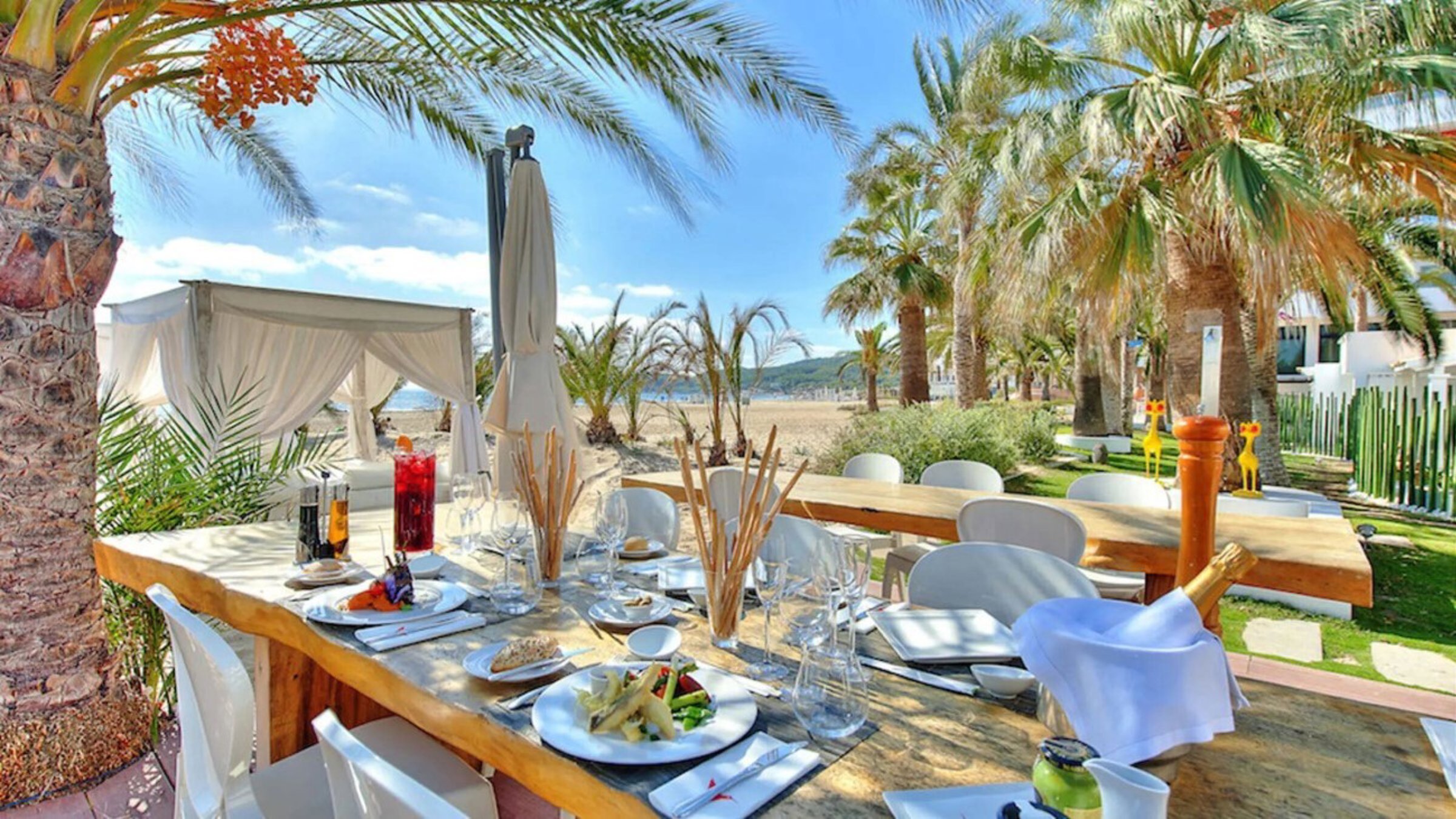 Table Setup With Palms Around On Sunny Day