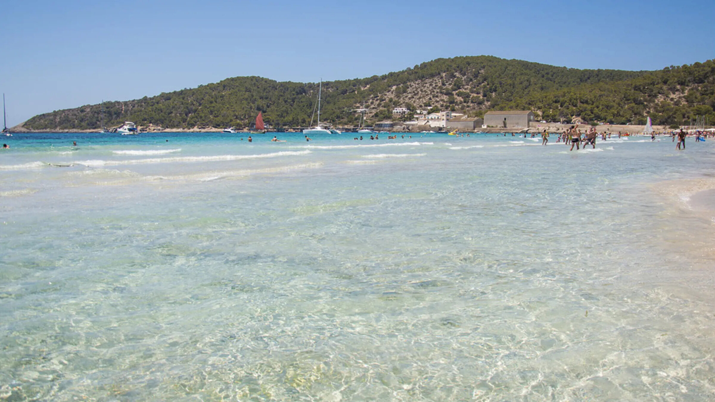 People In The Water On A Beach