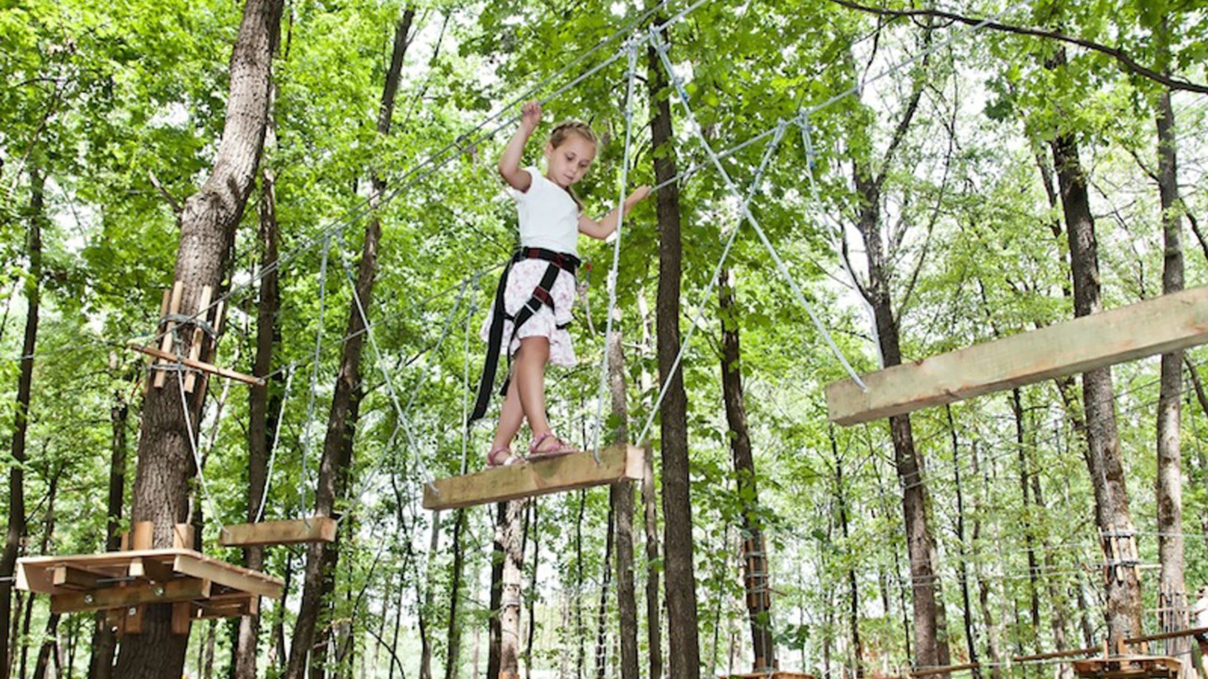 Little Girl On Zip Line In The Forest