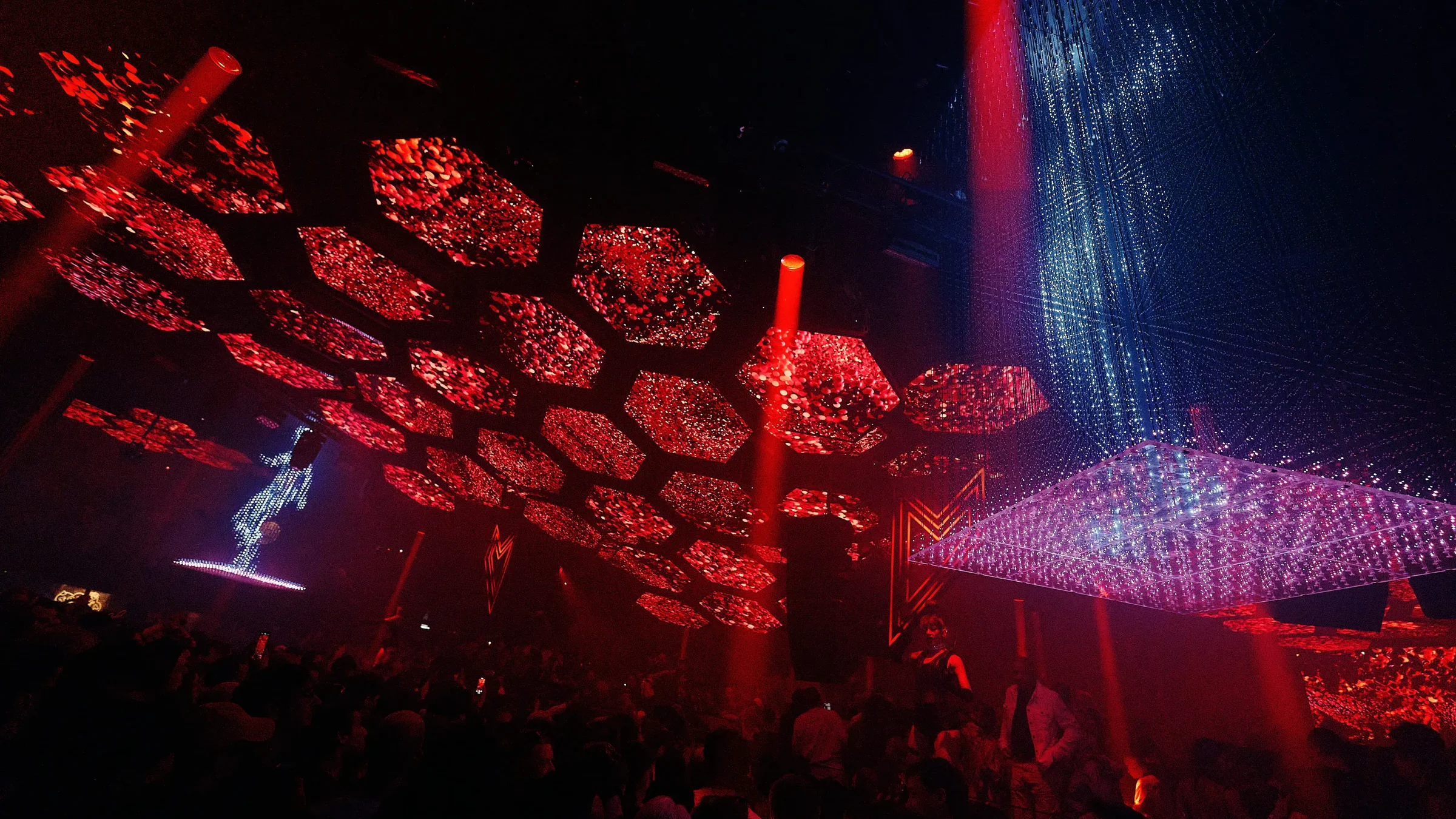 pacha .webp