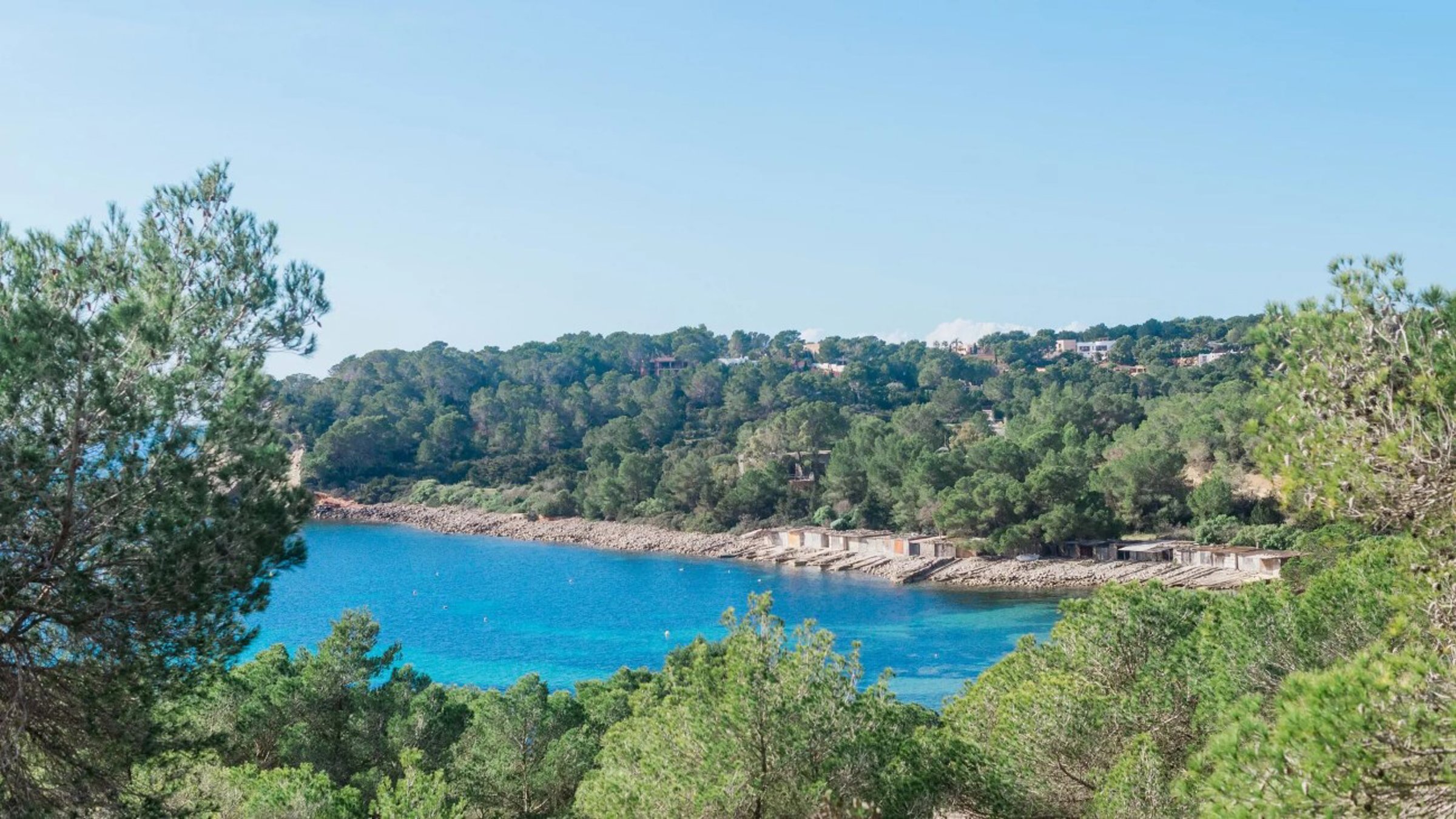 Sea Views With Pines And Blue Sea