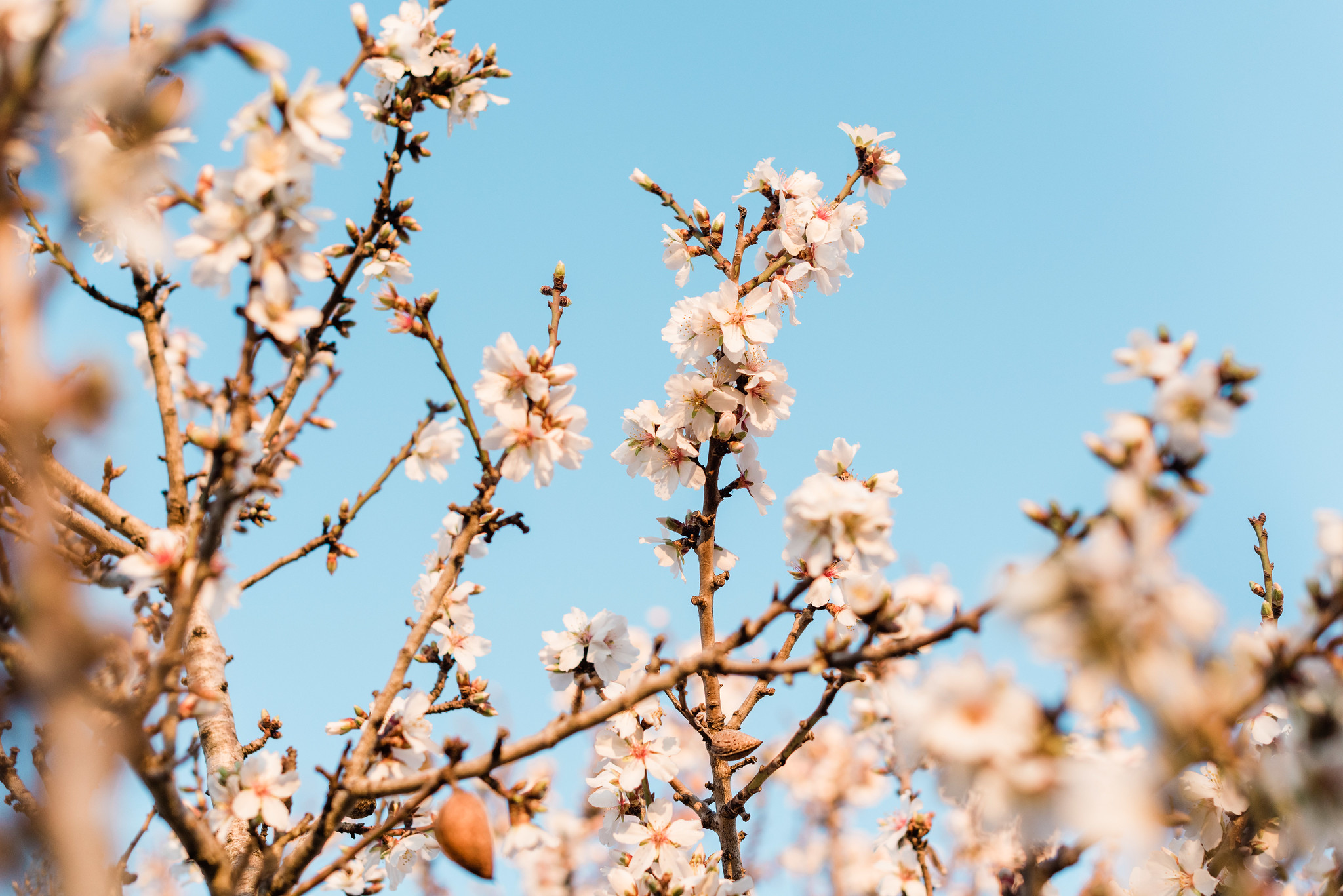 Postcards from Ibiza: Santa Ines