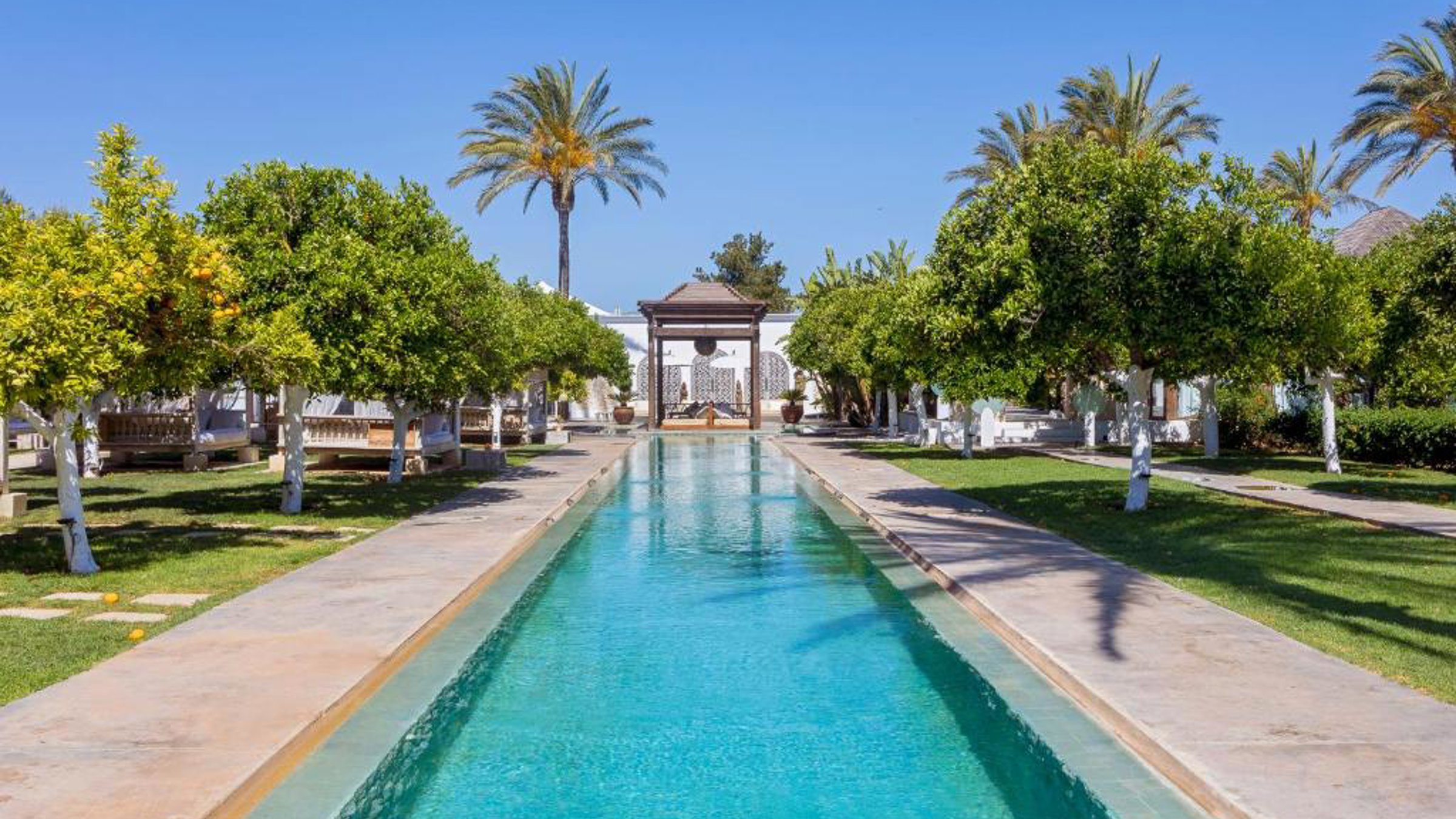 Infinity Swimming Pool With Palms And Garden