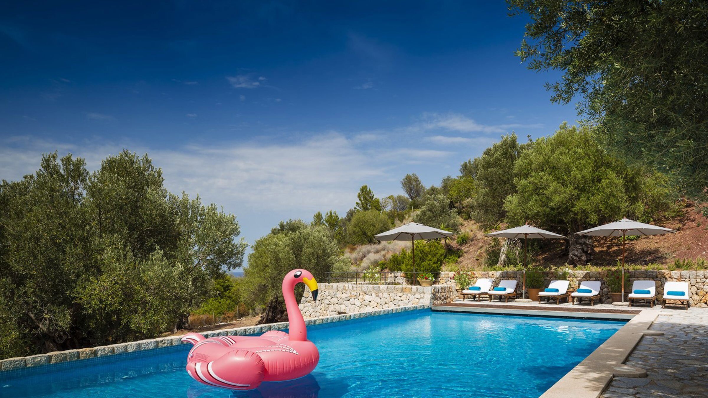 Swimming Pool With Pink Flamingo In Floating And Sunbeds On Side