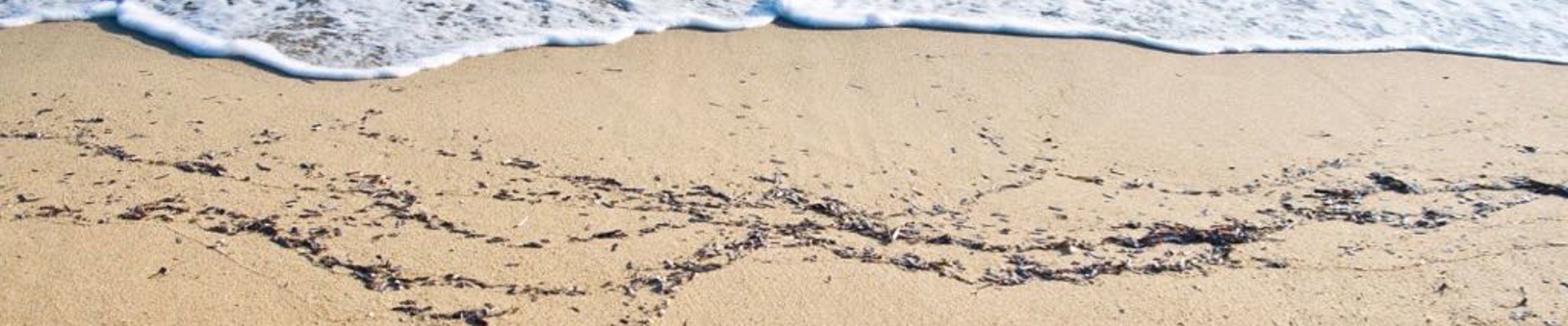 Destination: Ibiza wedding