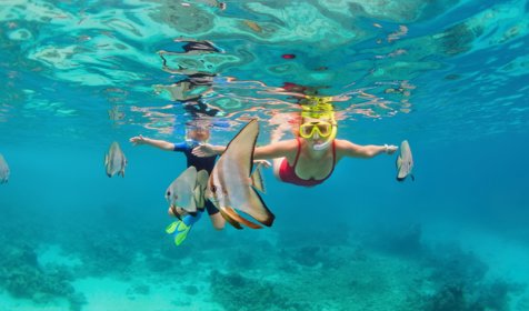 The 10 Best Snorkelling Spots in Ibiza