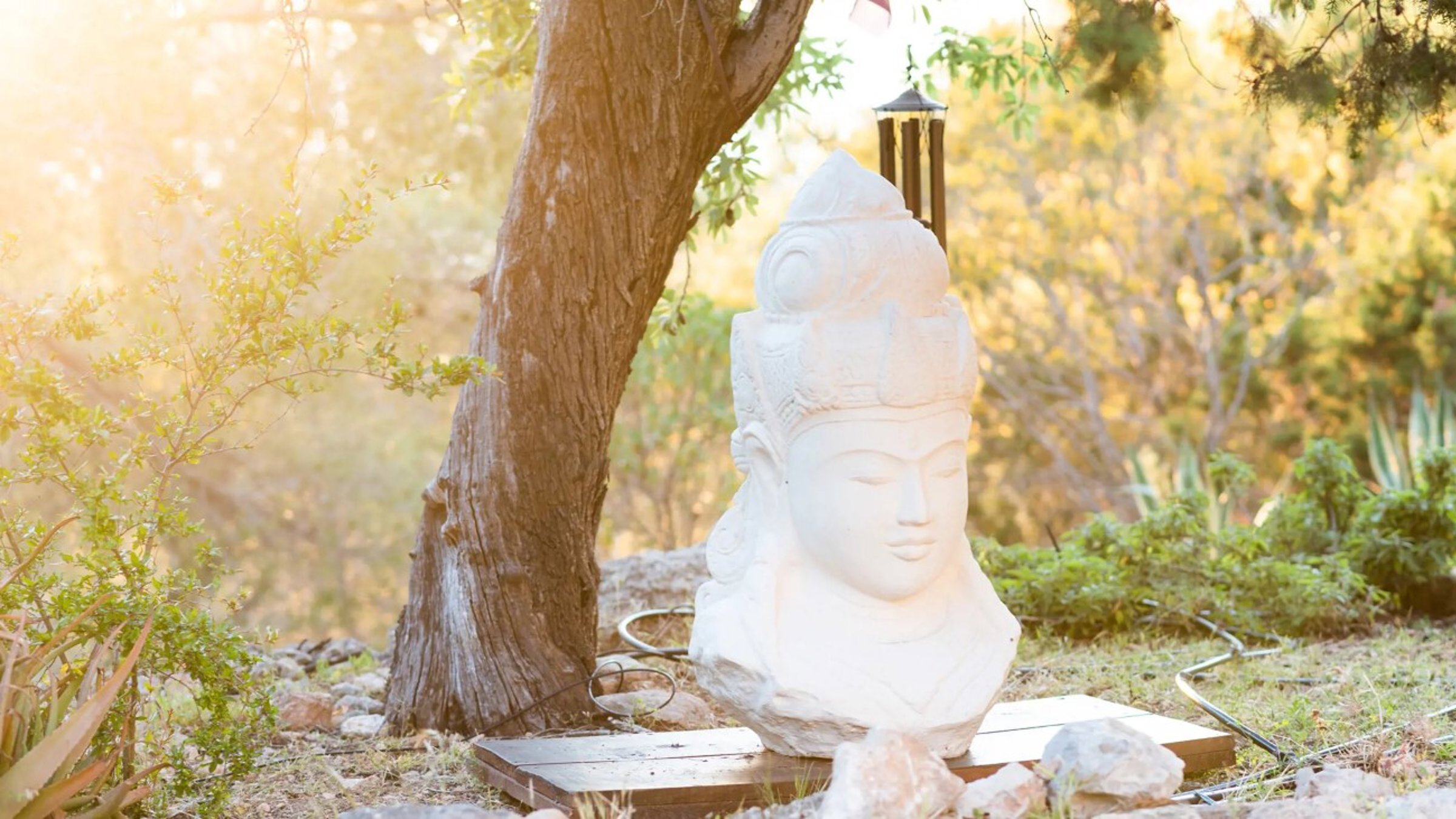 Boho Statue On Ground Next To A Tree